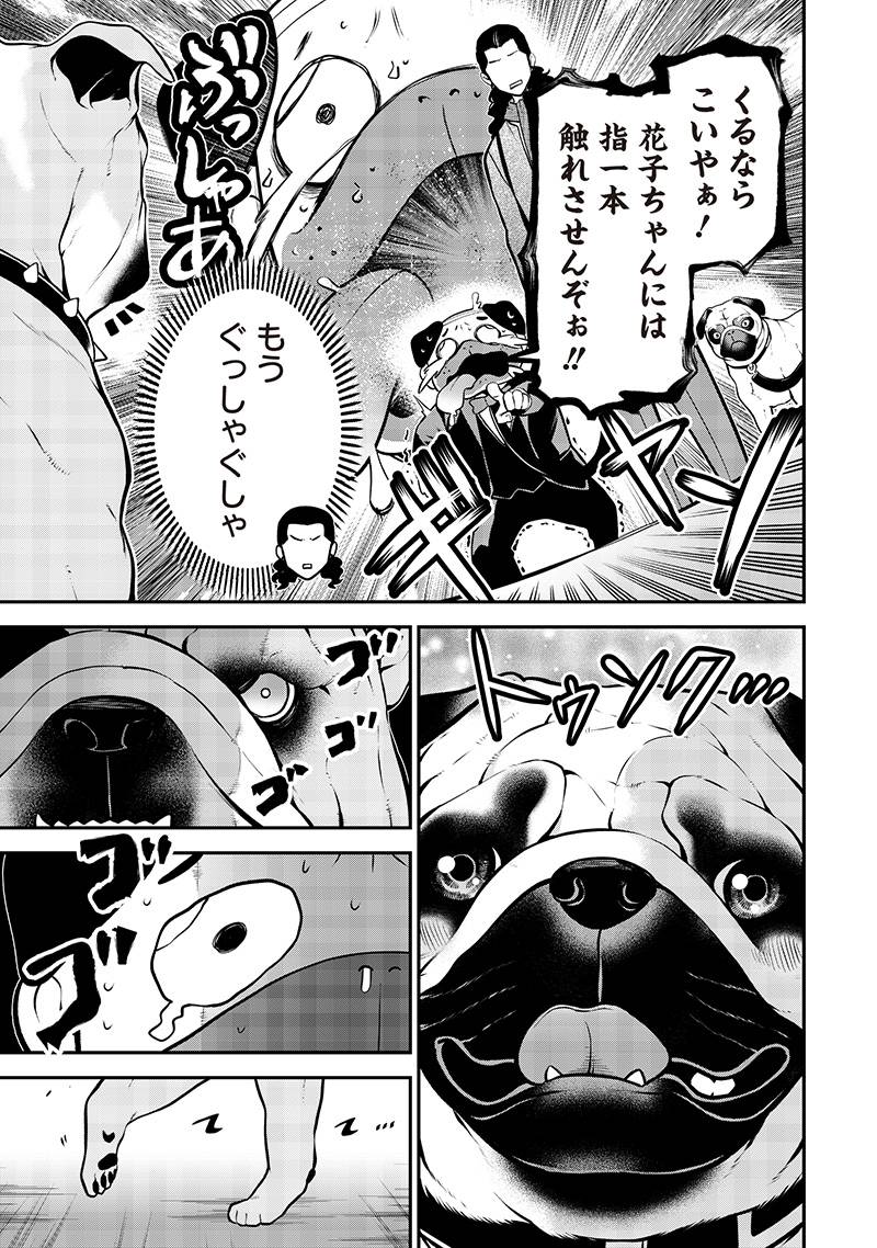 P11
