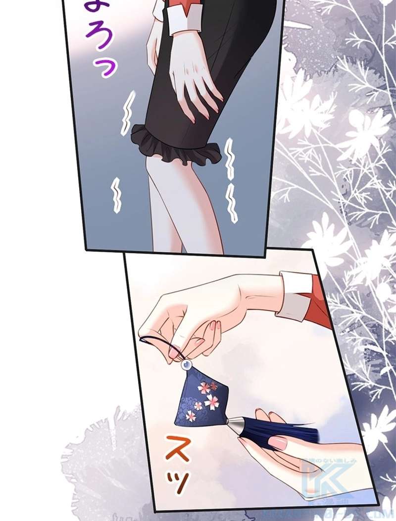 P61