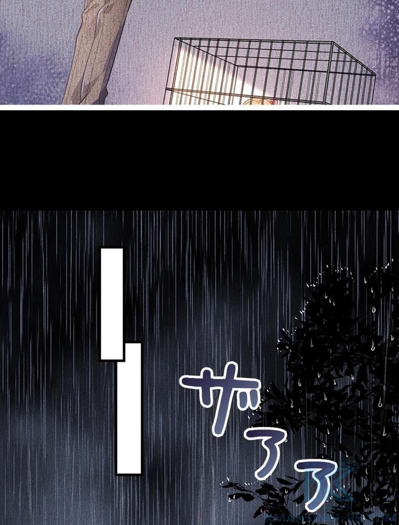P53