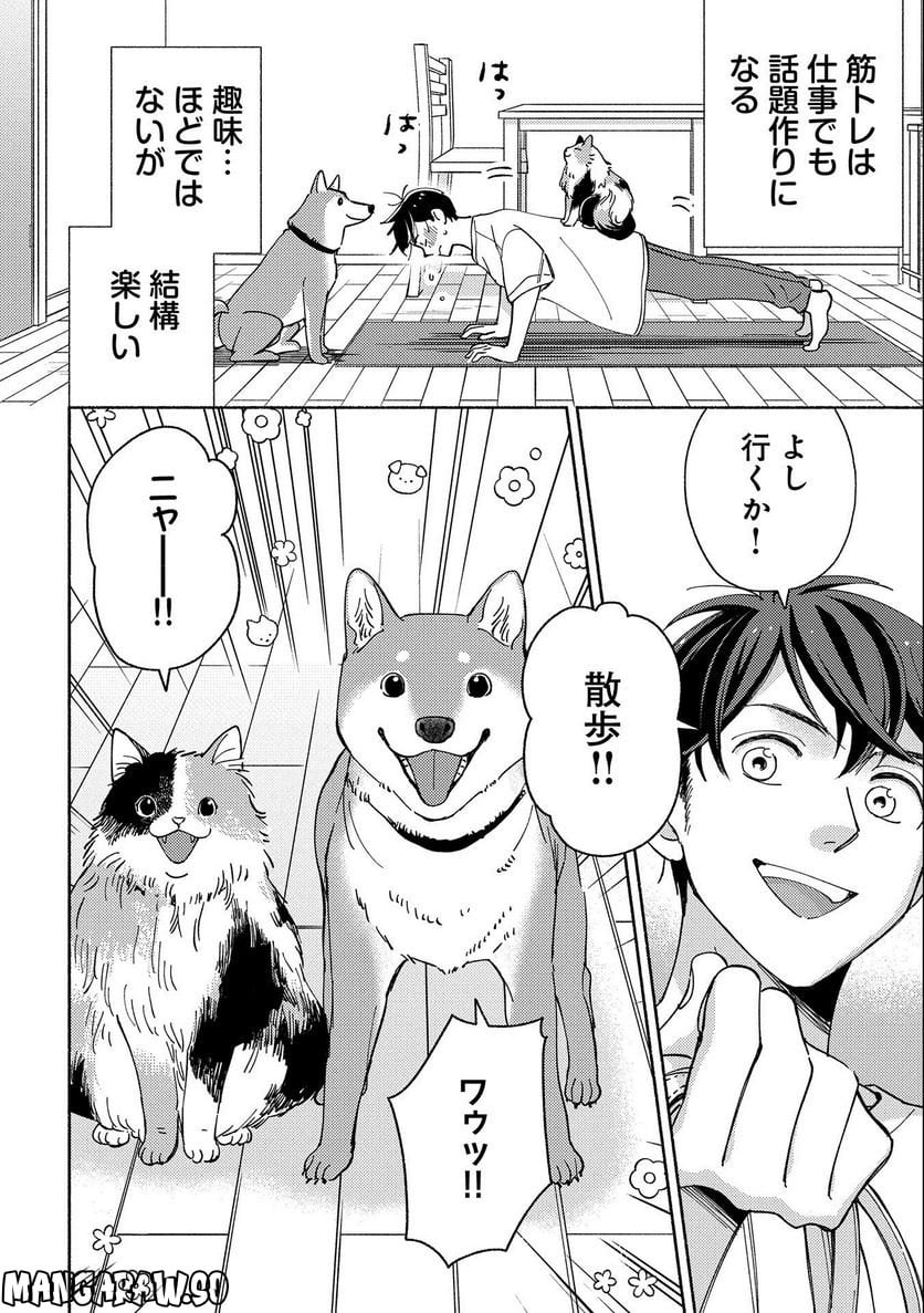 P6