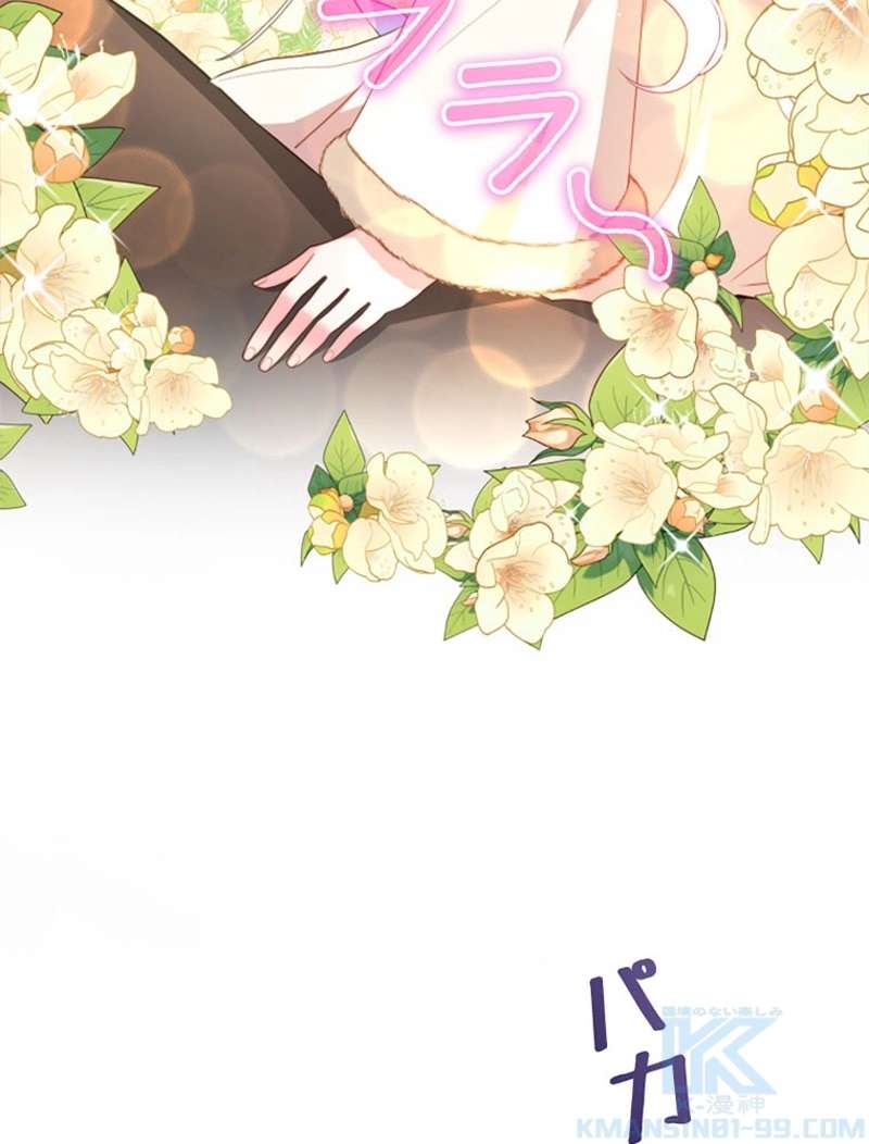 P46