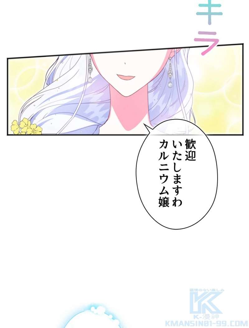 P58