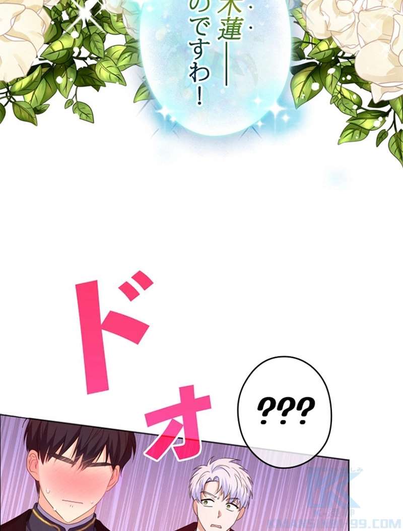 P58