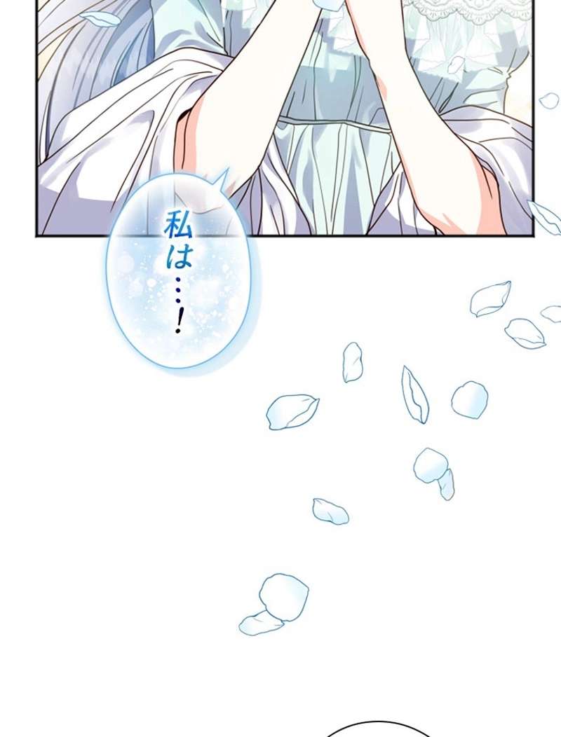 P66