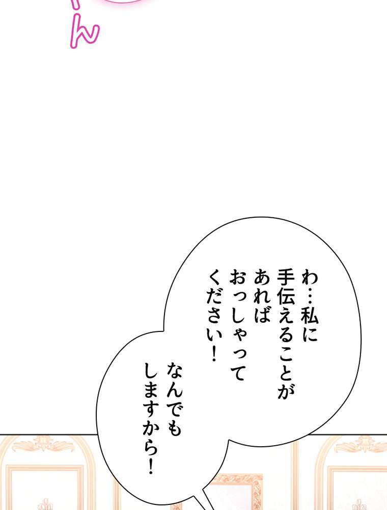 P66