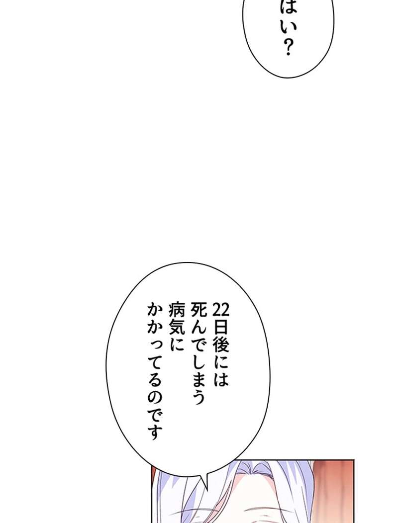 P53