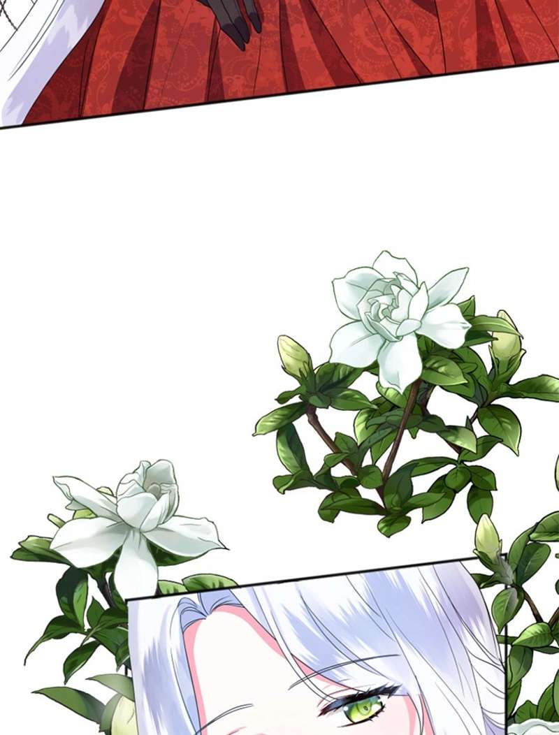 P66
