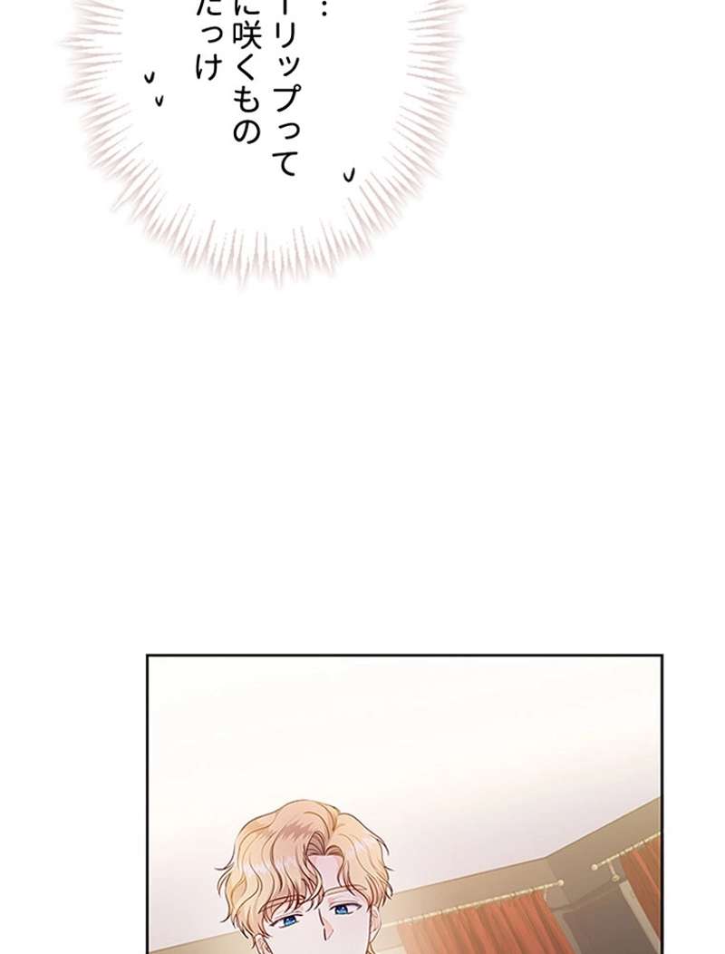P66