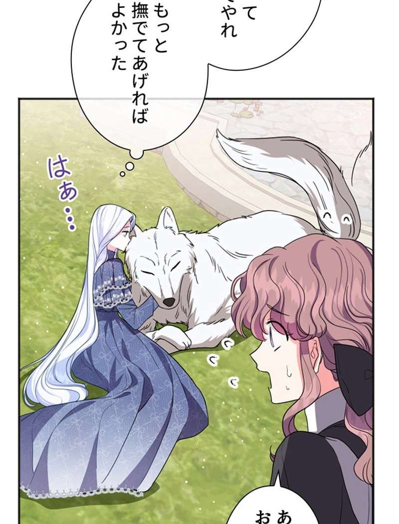 P53