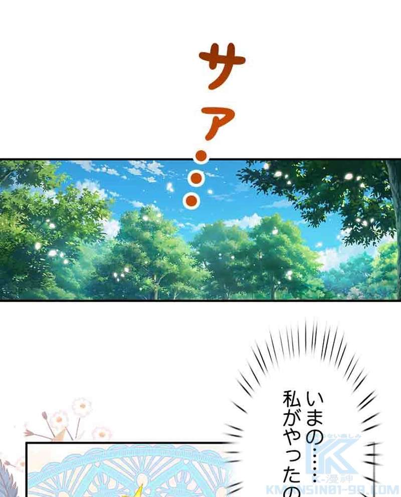 P58