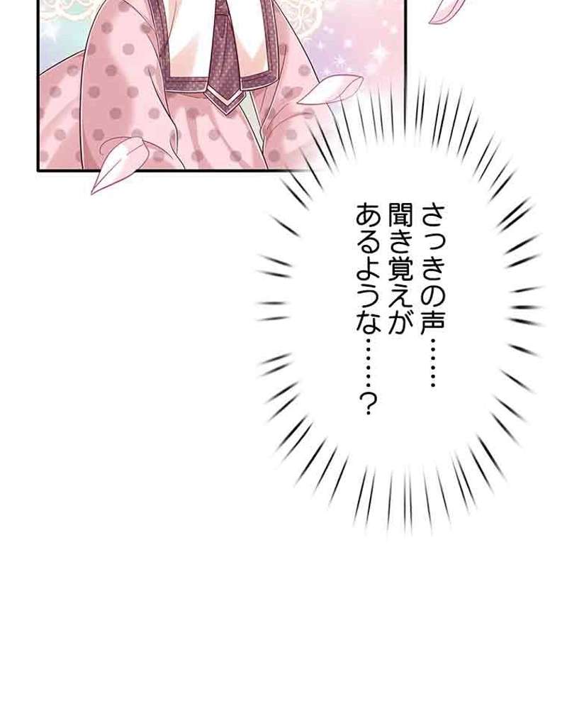 P66