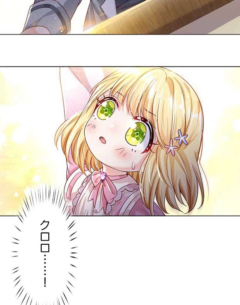 P66