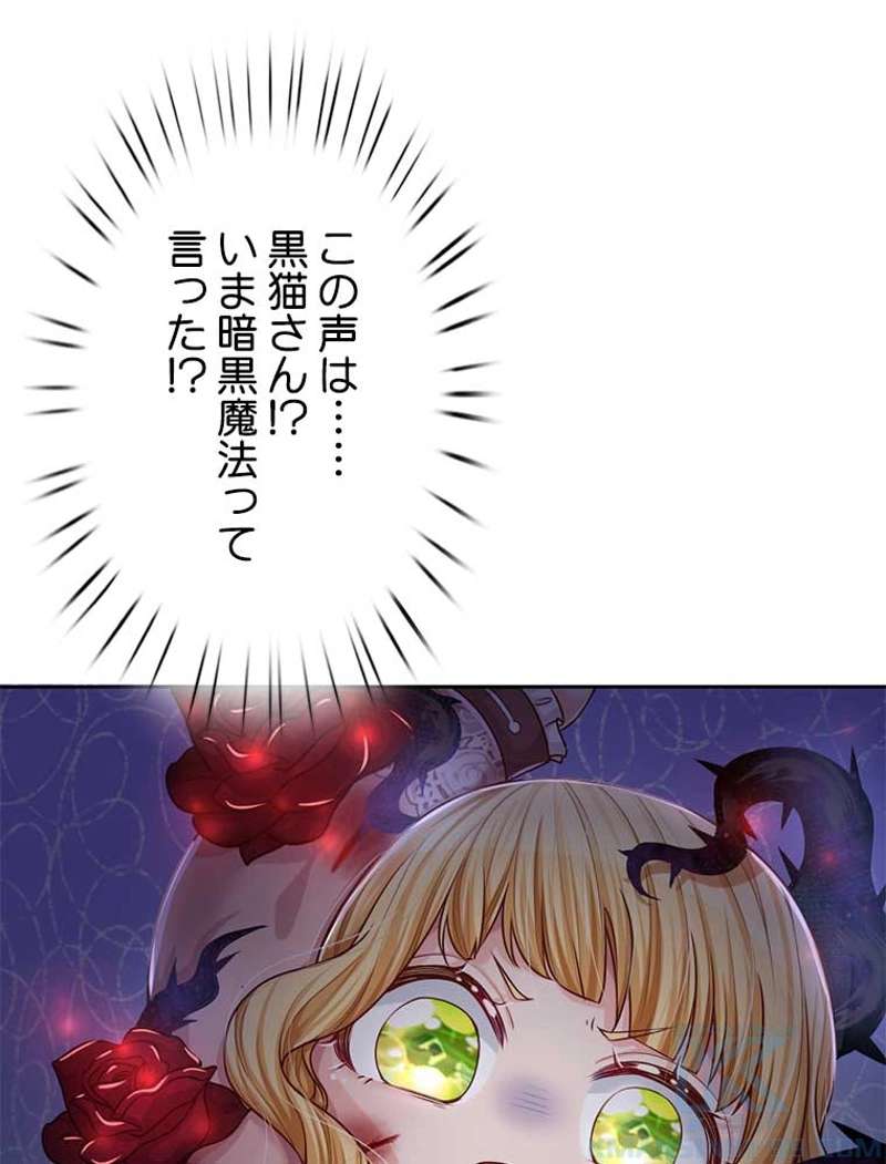 P58