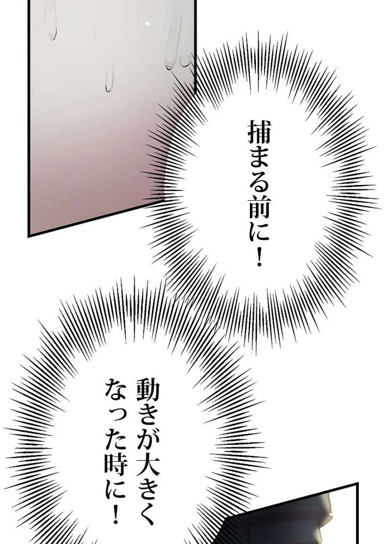 P84