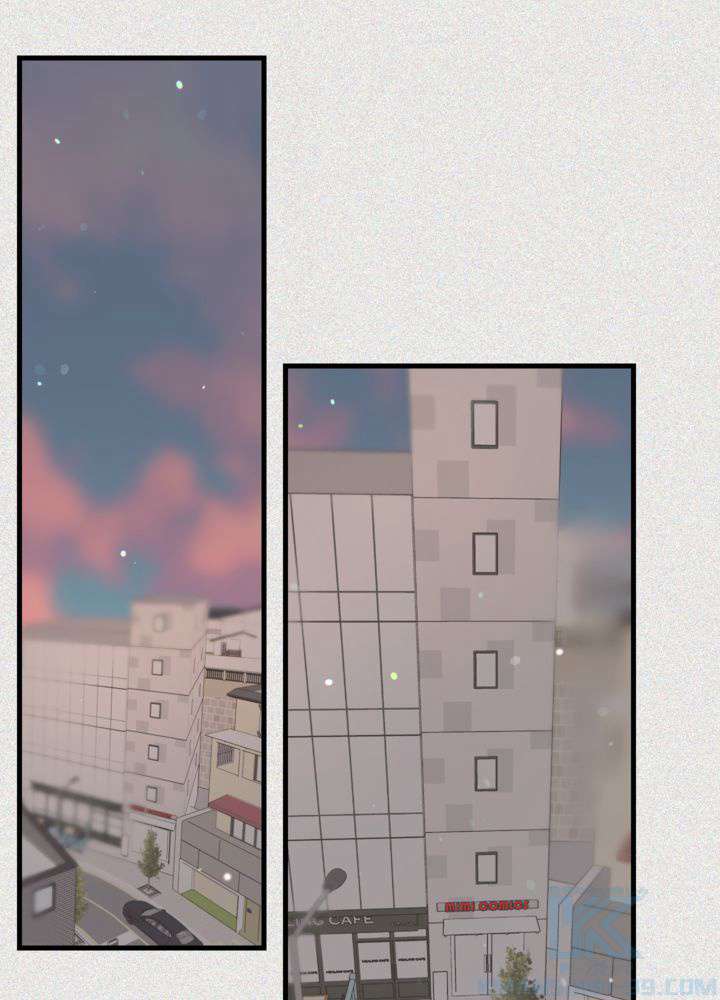 P61