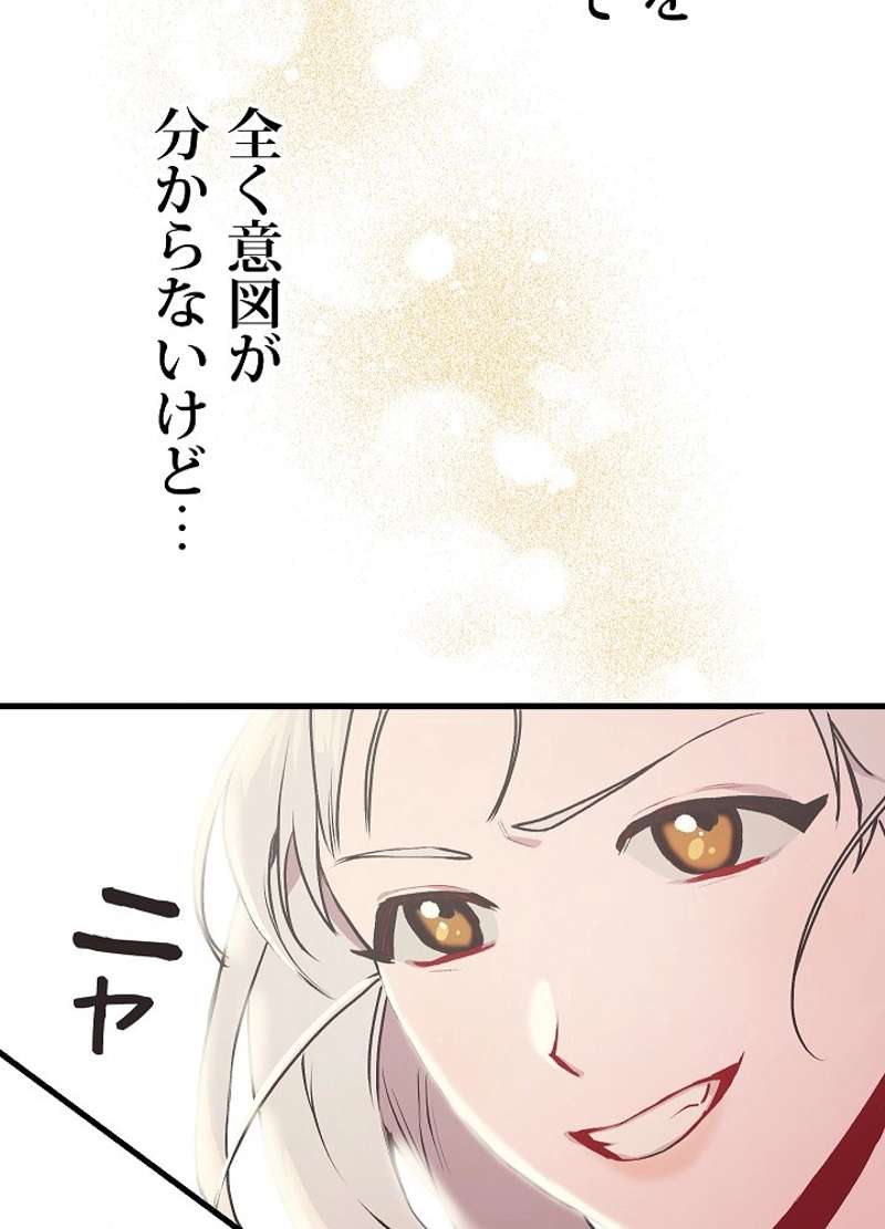 P53