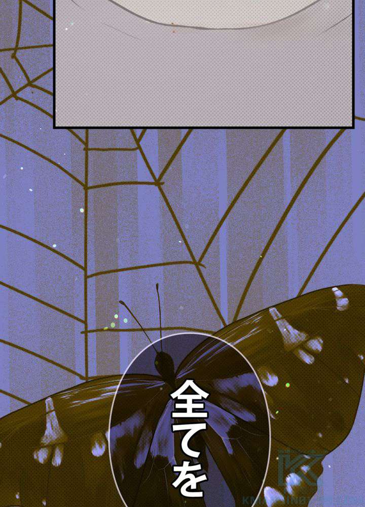 P58