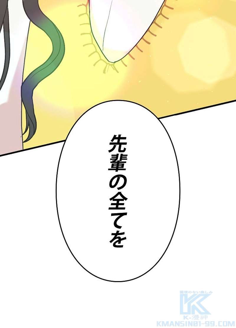 P133