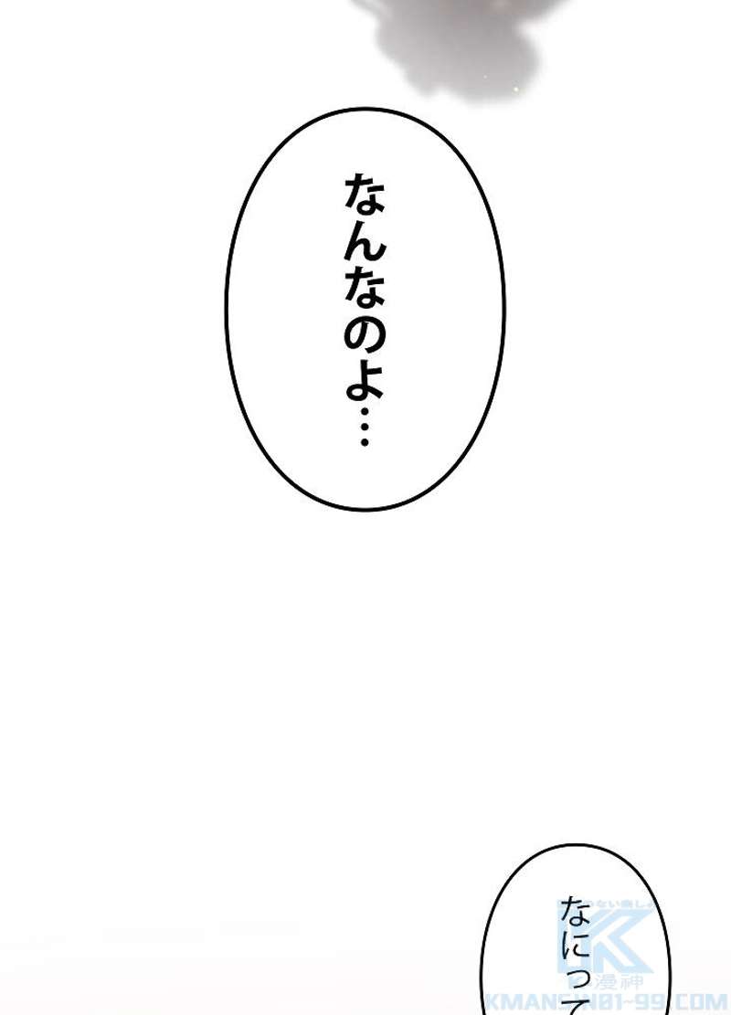 P58