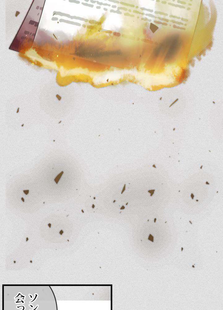P63