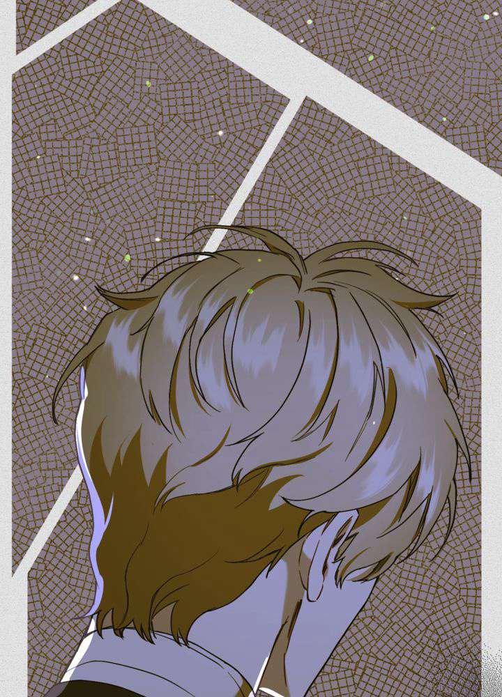 P65