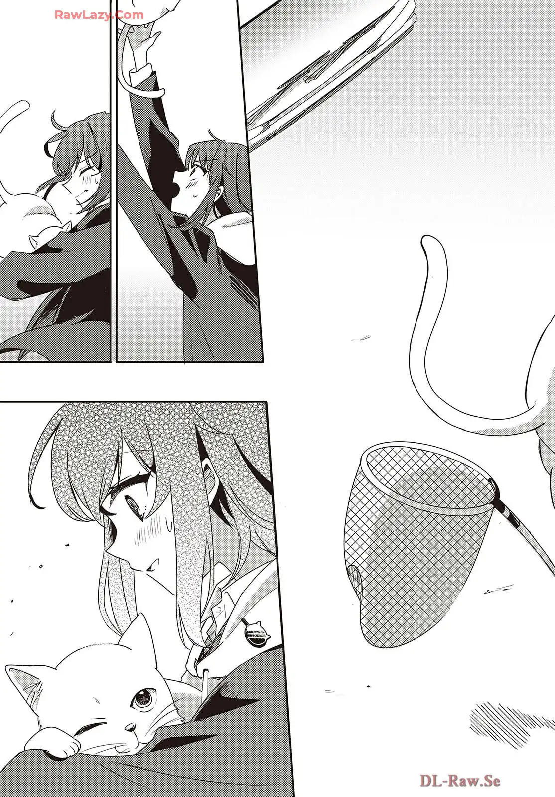 P41