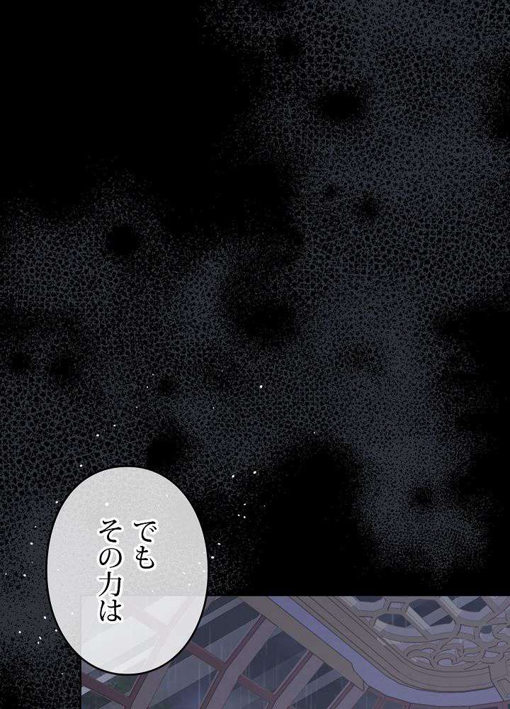 P81