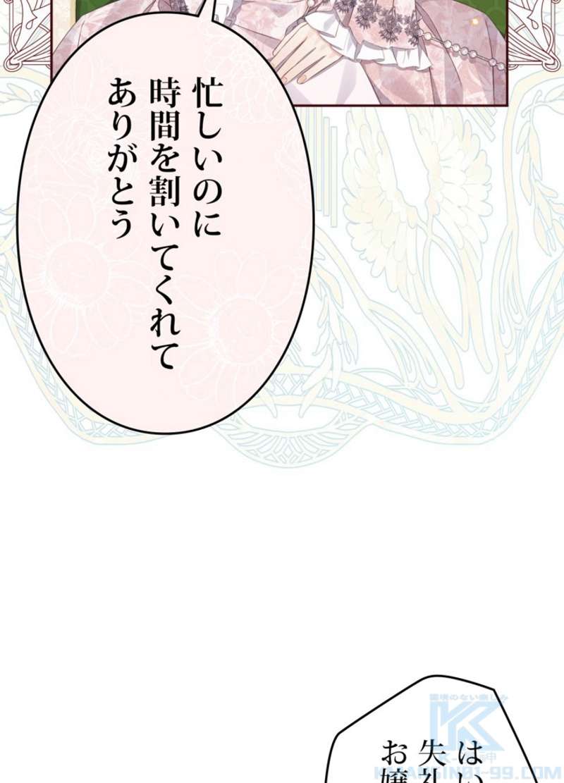 P61