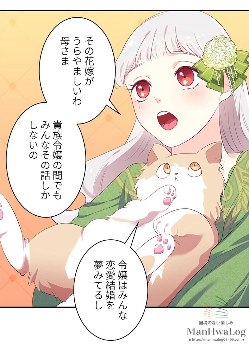 P53