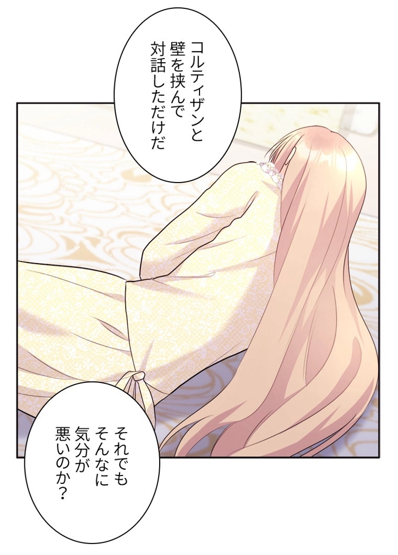 P61