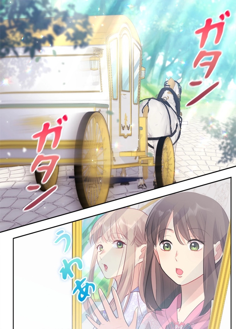 P42