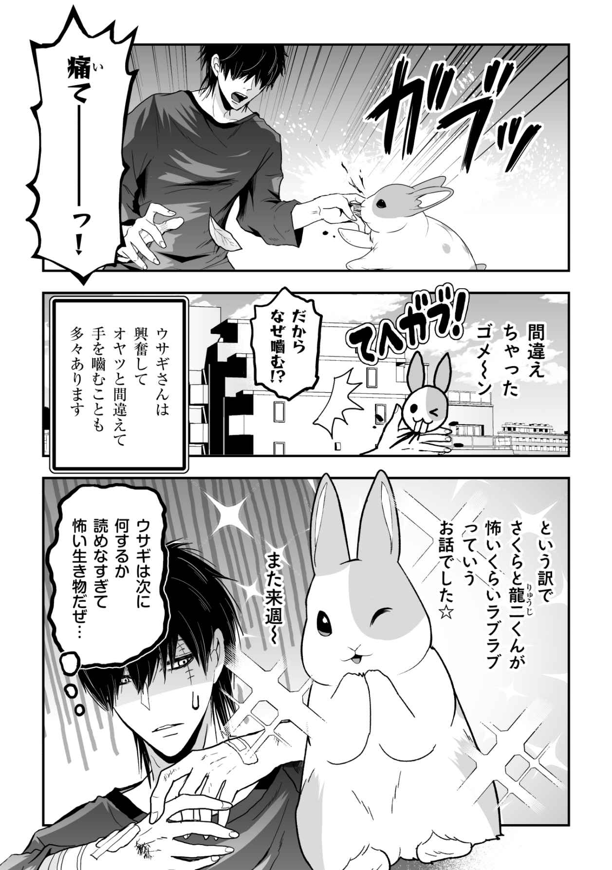 P11