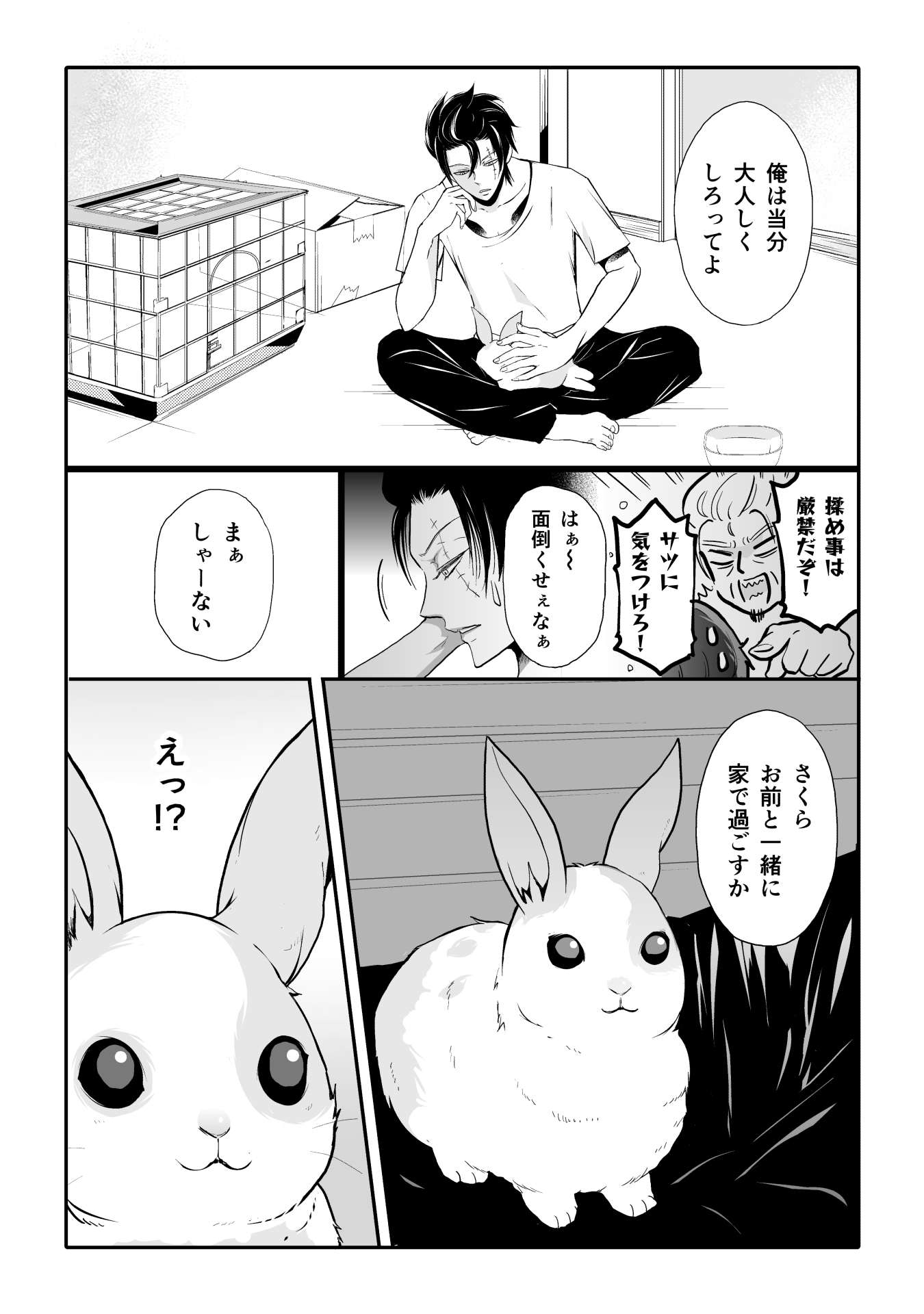 P14