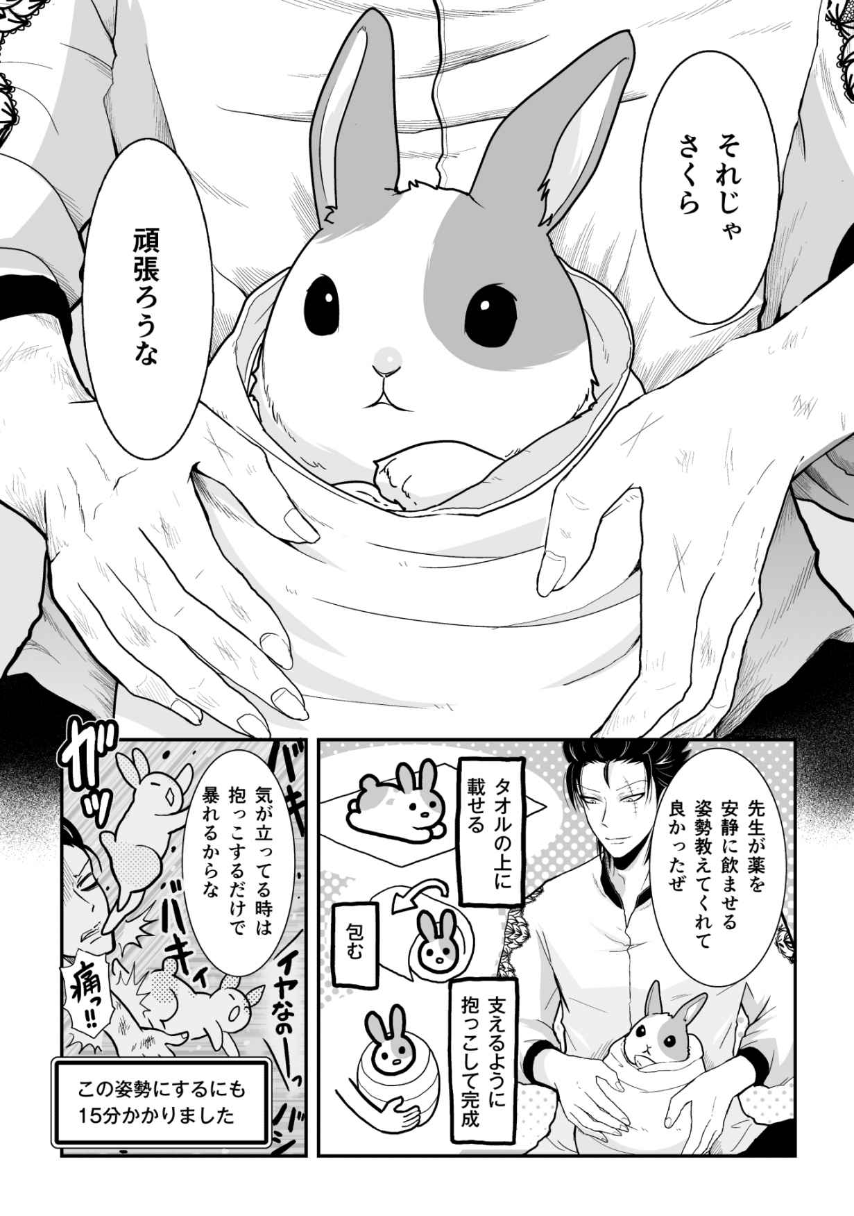 P11