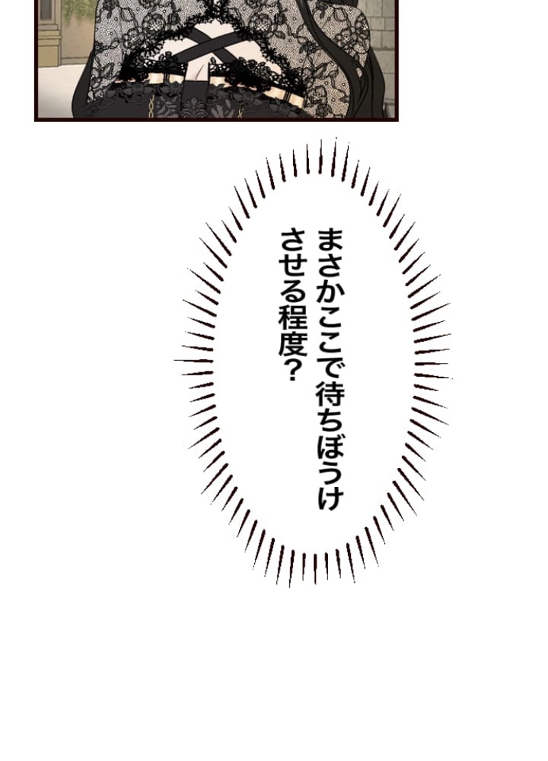 P66