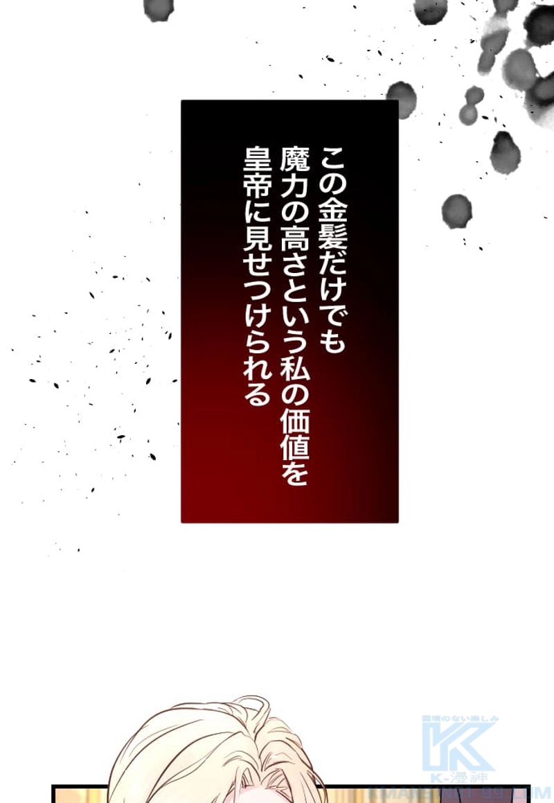 P58
