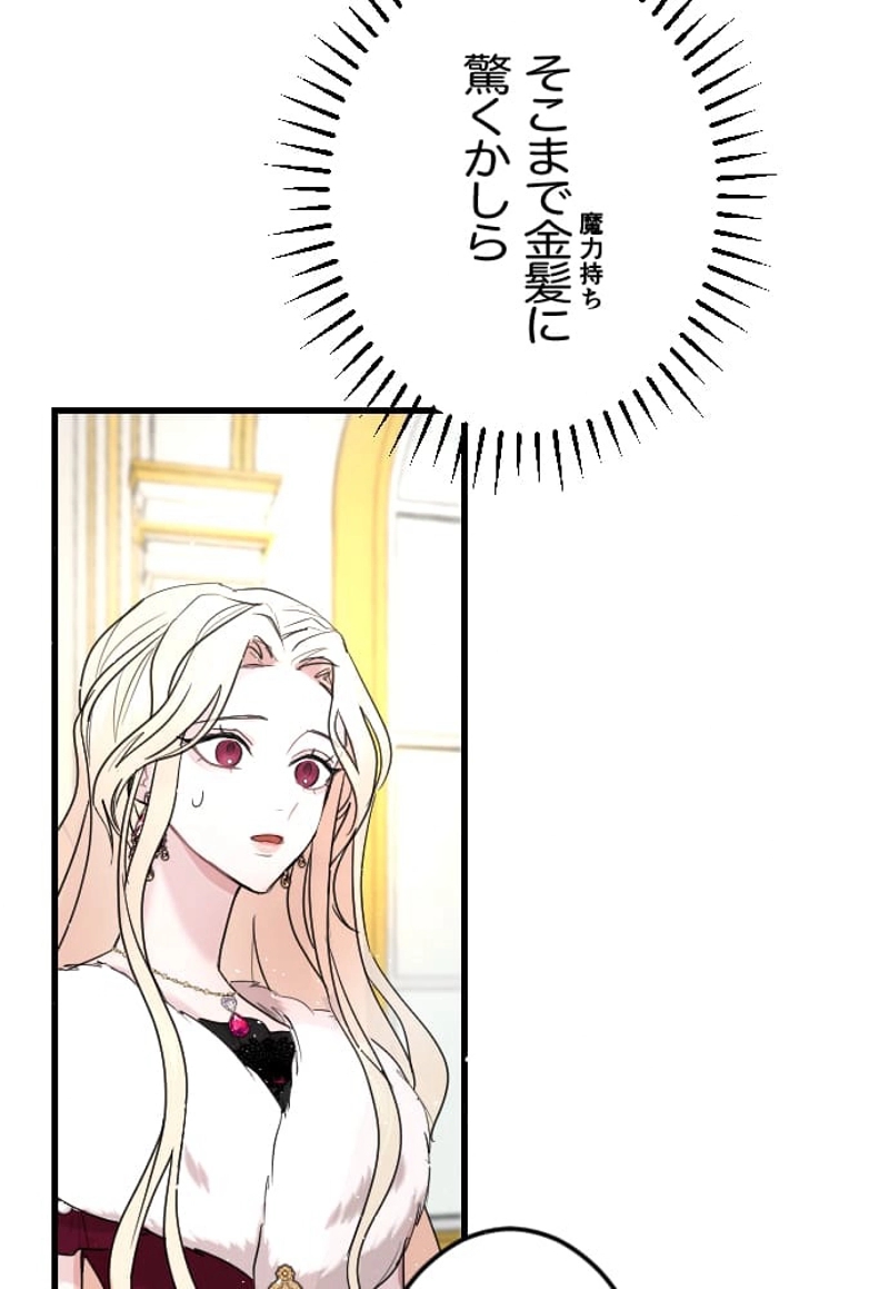 P63