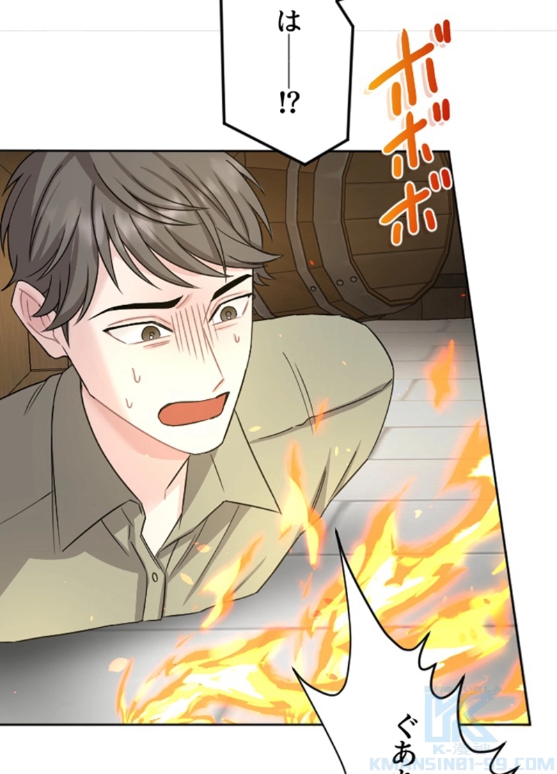 P61