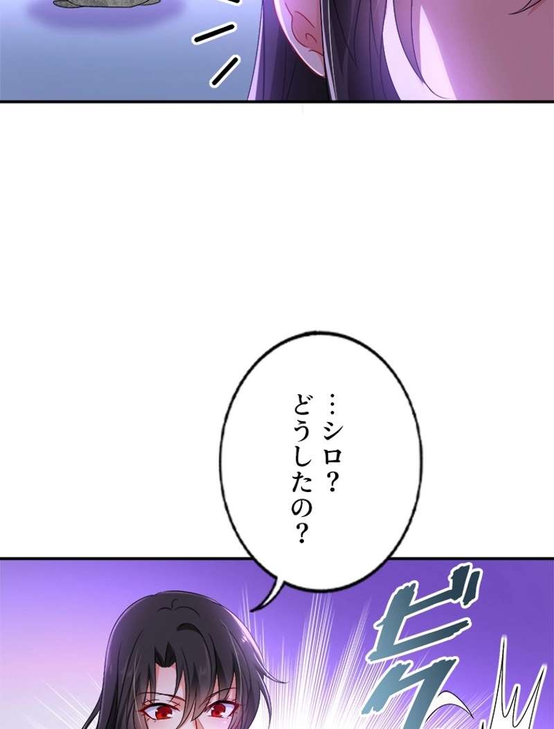 P41
