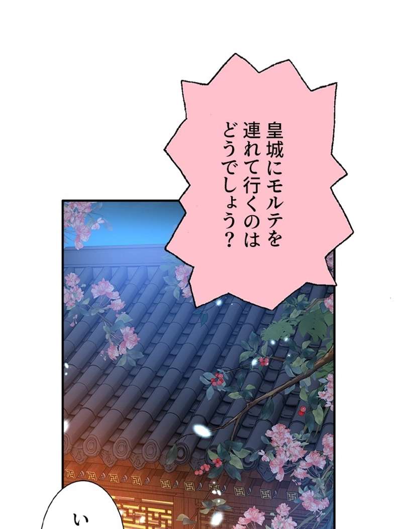 P53