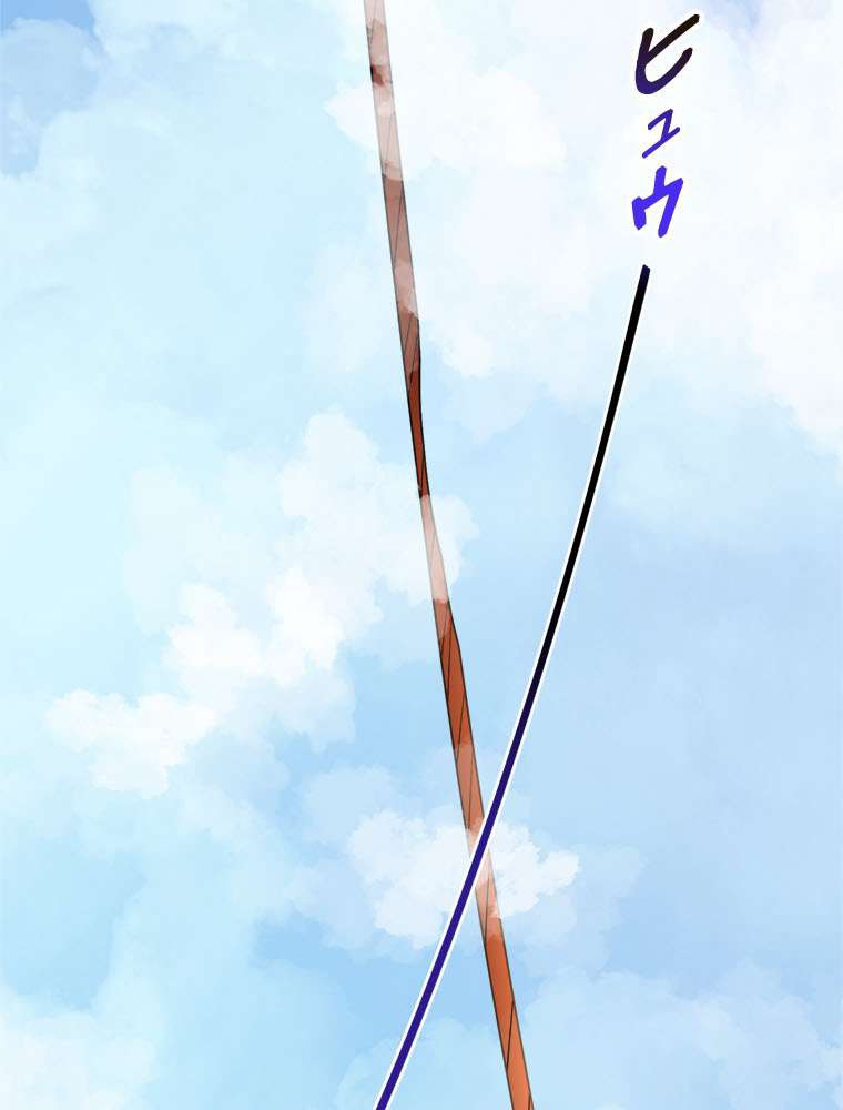 P66