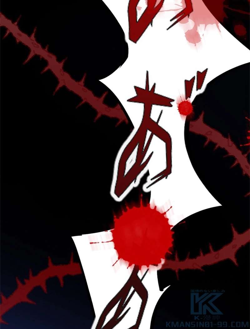 P46