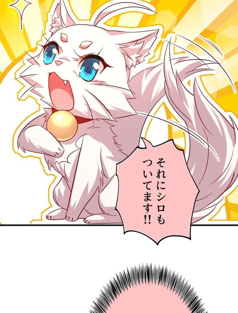 P65