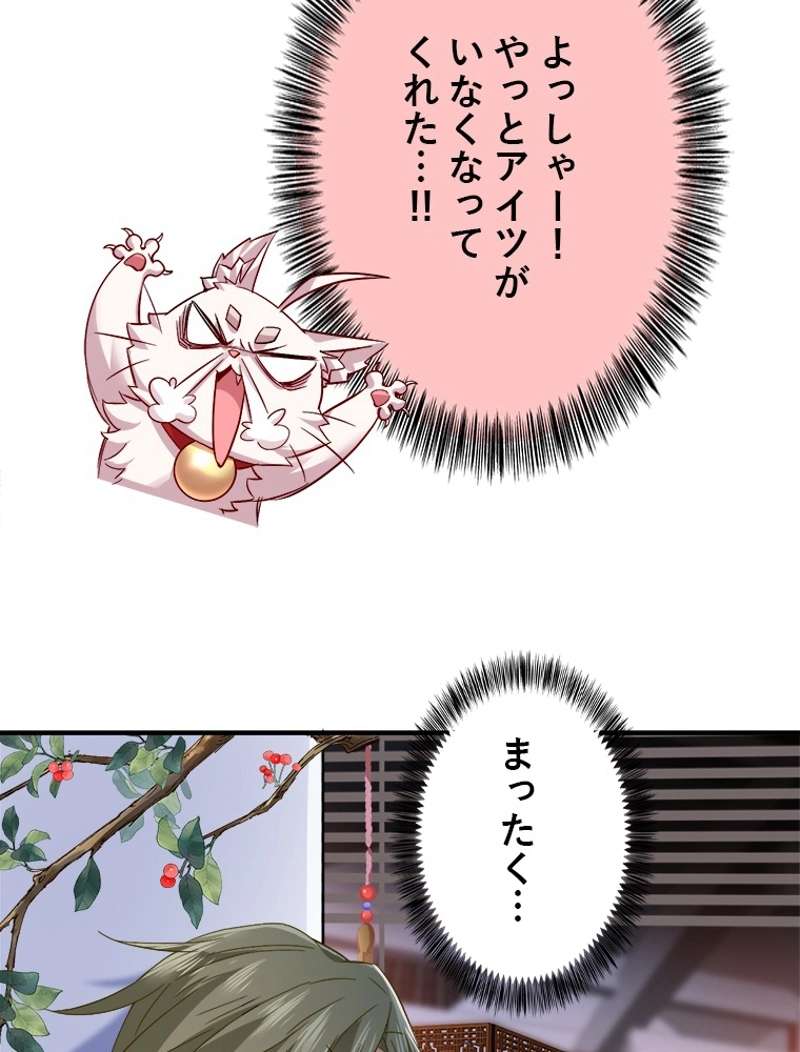 P66