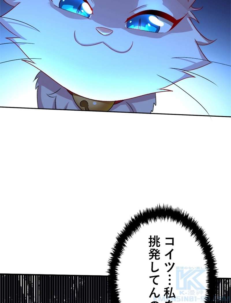 P58