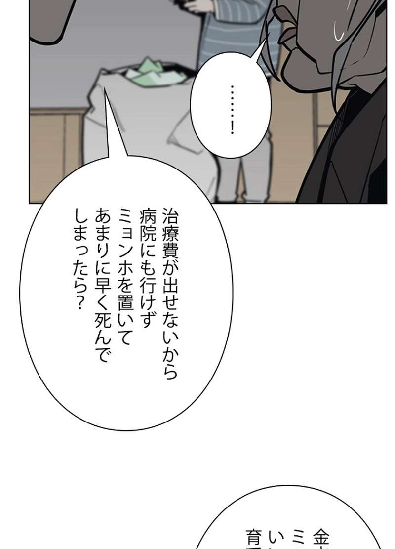 P41