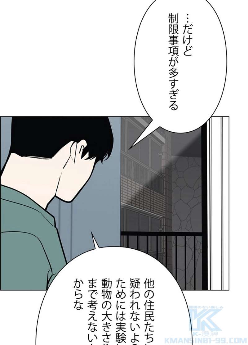 P61