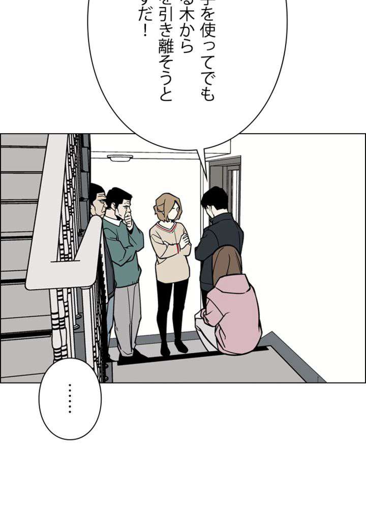 P65