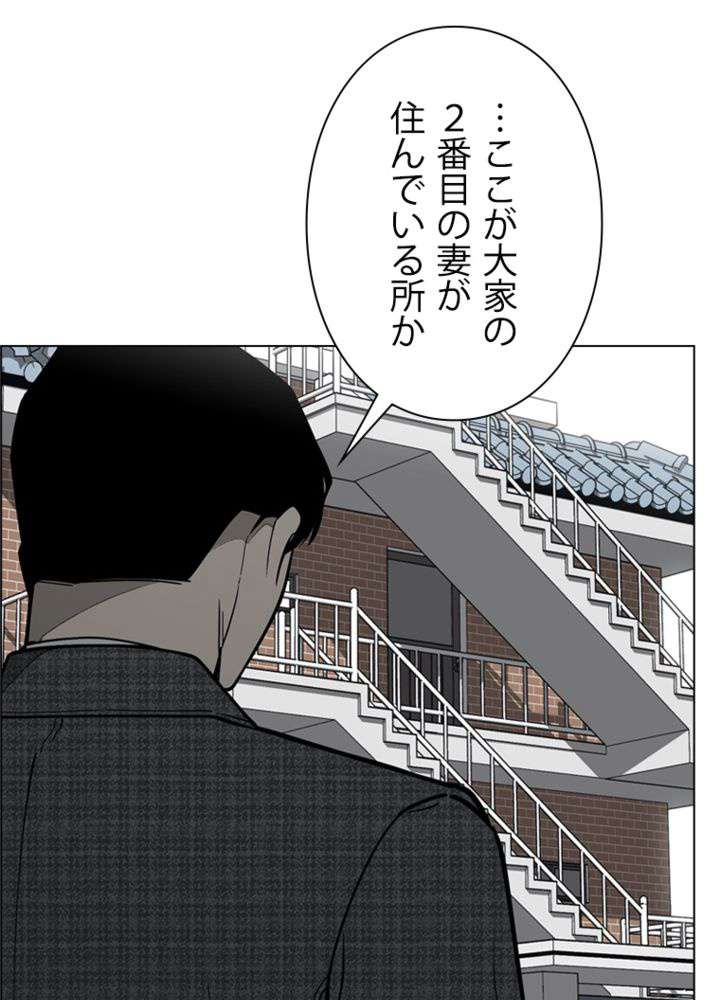 P53