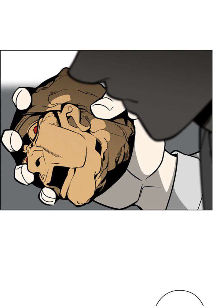 P63
